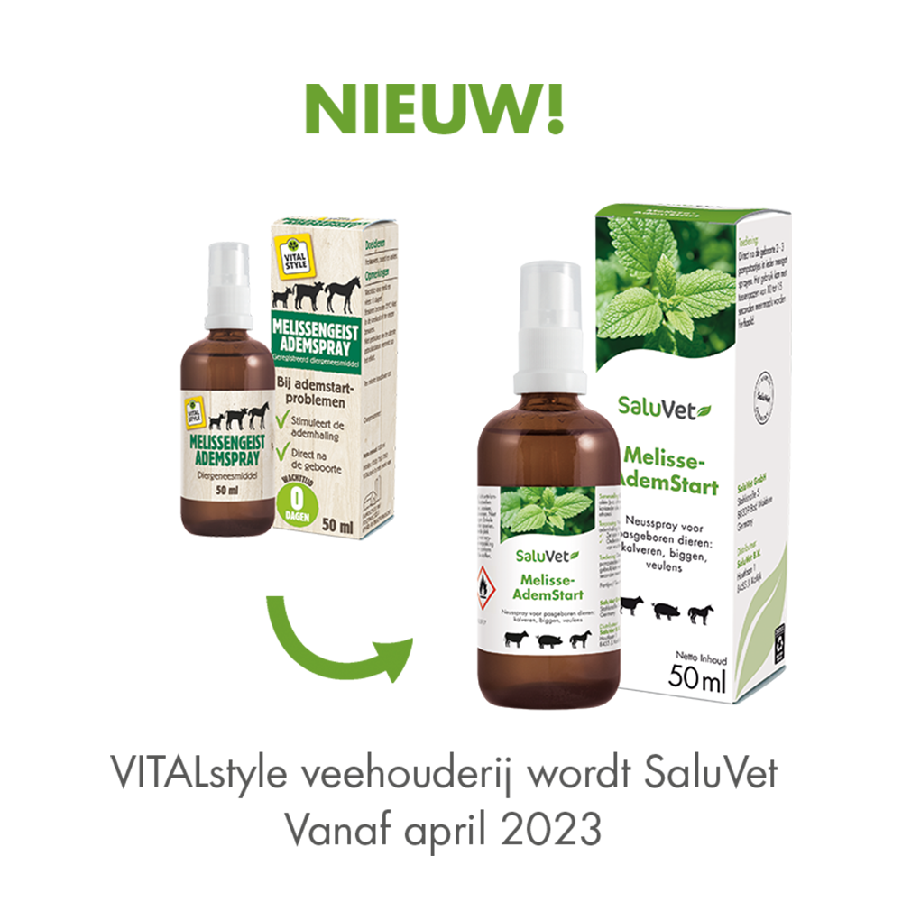 Melisse-AdemStart - SaluVet