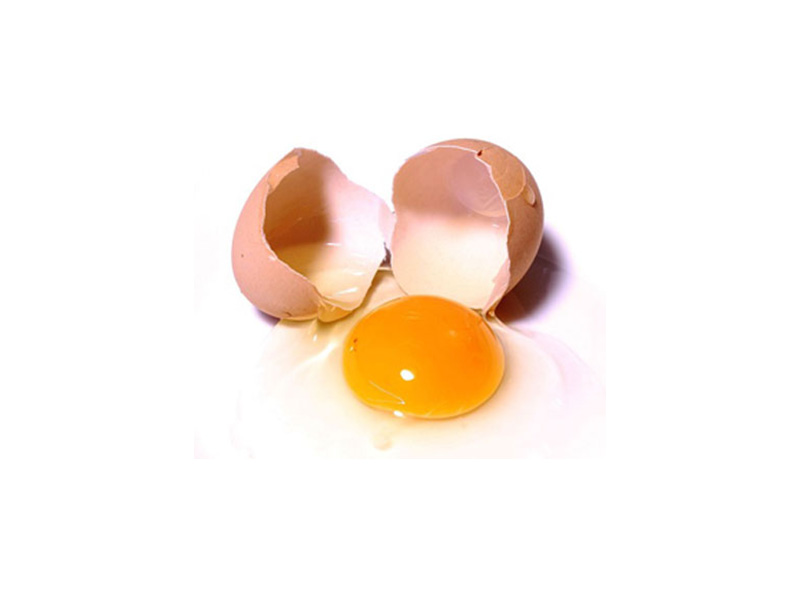 Kalverdiarree aanpakken met eieren?! Het kalf geholpen zijn met extra immunoglobulinen van eieren. Ja echt waar, eieren!
